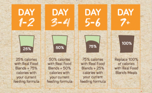 Real Food Blends Transition Schedule